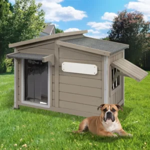 Large Outdoor Wooden Dog House