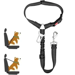 Dog Seatbelt