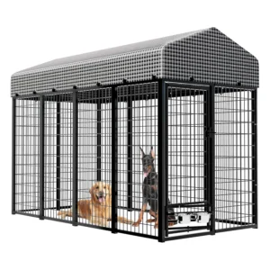 Large Dog Kennel