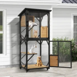 Cat Catio