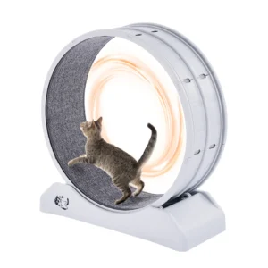 Cat Exercise Wheel