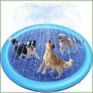 Splash Pad for Dogs or kids!