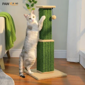 Cat Scratching Post
